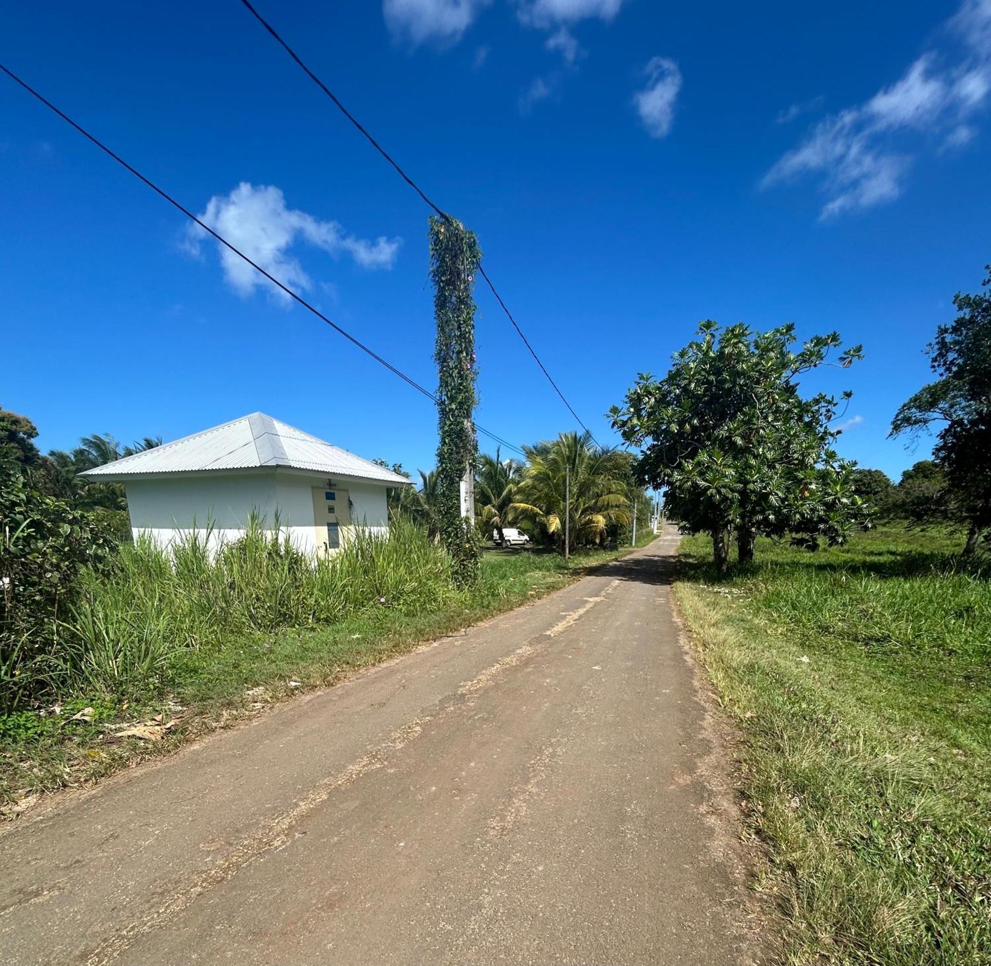 Joli Bungalow Fleuri Les Abymes Bagian luar foto